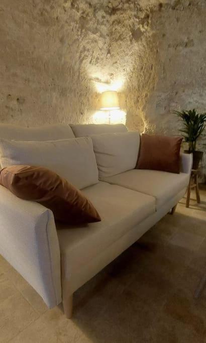 Troglo Entre Caves Et Chateaux Montlouis-sur-Loire Ngoại thất bức ảnh