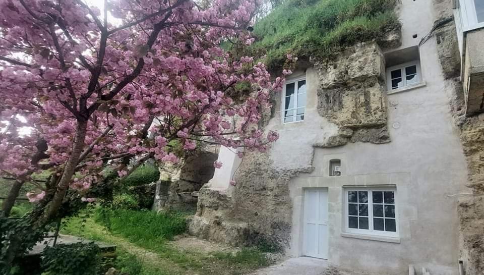 Troglo Entre Caves Et Chateaux Montlouis-sur-Loire Ngoại thất bức ảnh
